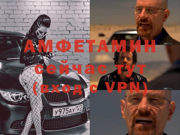 стаф Алзамай