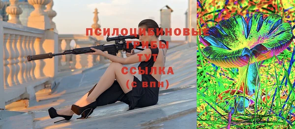 стаф Алзамай