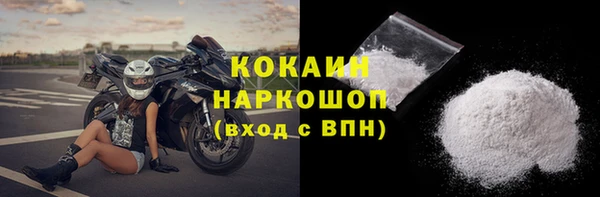 стаф Алзамай