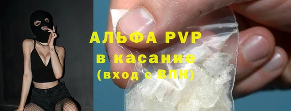 стаф Алзамай