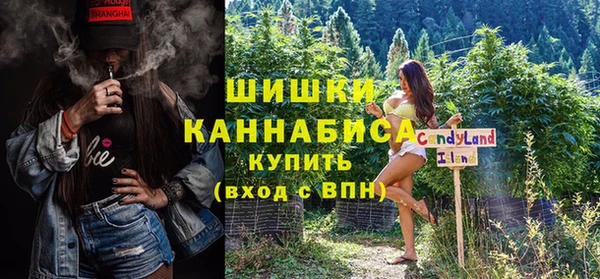 стаф Алзамай