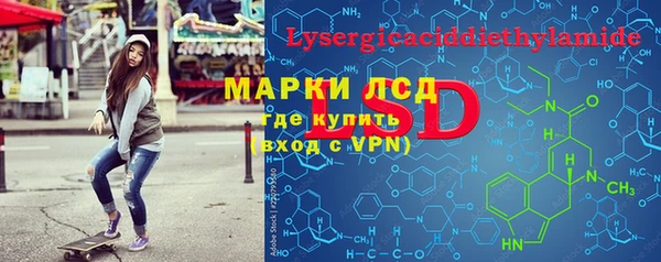 стаф Алзамай
