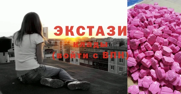 стаф Алзамай