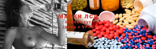 стаф Алзамай